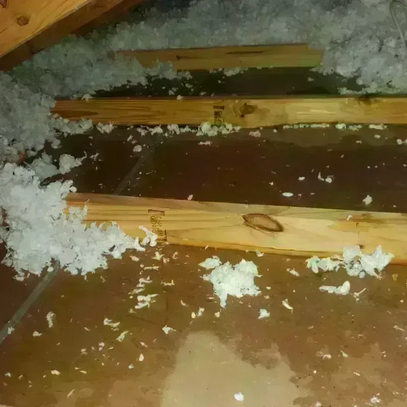 Attic Water Damage in Shallotte, NC