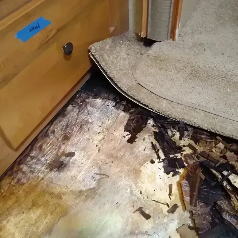 Wood Floor Water Damage in Shallotte, NC